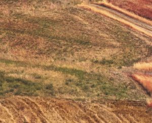 Lejebil & billeje i Brindisi